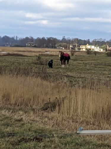 photo 2025 11 21 22 10 24.jpg