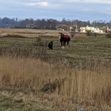 photo 2025 11 21 22 10 24