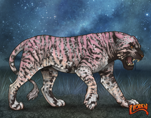 lioden wardrobe 2025 11 29T140037.890.png