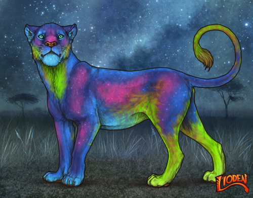 lioden wardrobe 2025 11 29T140300.814.png