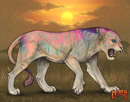 lioden wardrobe 2025 11 29T135931.950.png