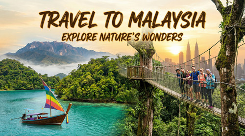 image Pippit 202511300354 (1).jpg