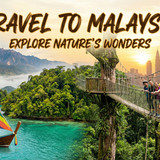 image Pippit 202511300354 (1)