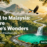 image Pippit 202511300354