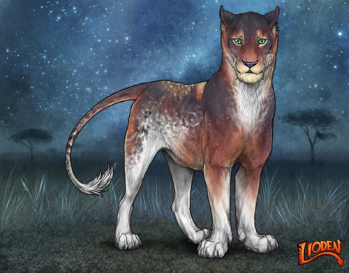 lioden wardrobe (75).png