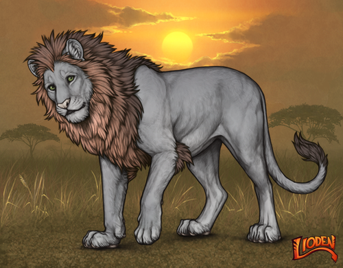 lioden wardrobe (70).png