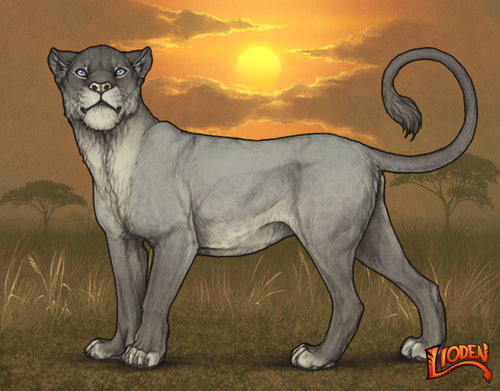 lioden wardrobe (66).png