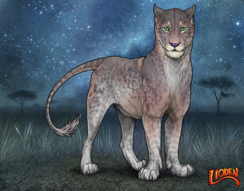 lioden wardrobe (77).png