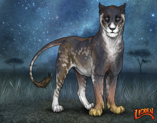 lioden wardrobe (79).png