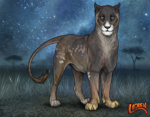 lioden wardrobe (78).png