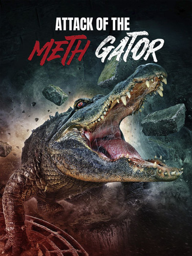 IMG 20251129 093326 237.jpg