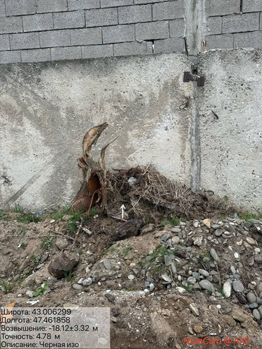 photo 8 2025 11 29 15 40 26.jpg