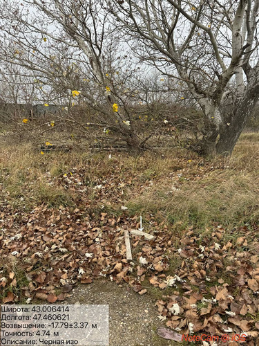 photo 14 2025 11 29 15 40 26.jpg