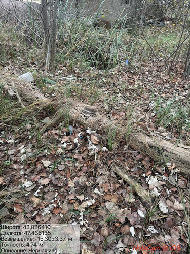 photo 35 2025 11 29 15 40 27.jpg