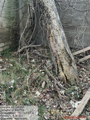 photo 36 2025 11 29 15 40 27.jpg