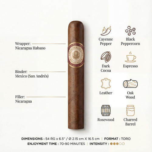 generated image 1764411151783.jpg