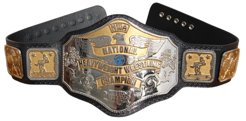 ntlbelt44 Photoroom.png