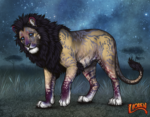 lioden wardrobe 2025 11 29T163815.677.png