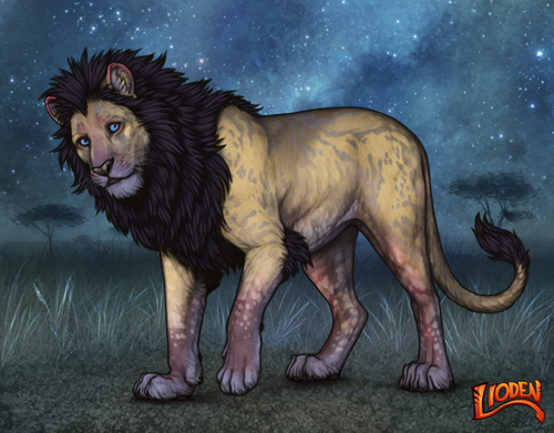 lioden wardrobe 2025 11 29T163812.186.png