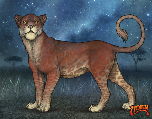 lioden wardrobe 2025 11 29T163217.884.png