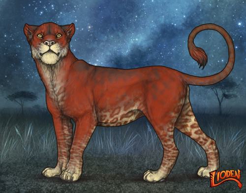 lioden wardrobe 2025 11 29T163221.858.png