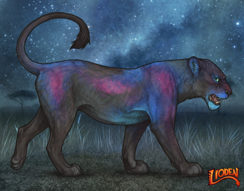 lioden wardrobe 2025 11 29T163617.556.png