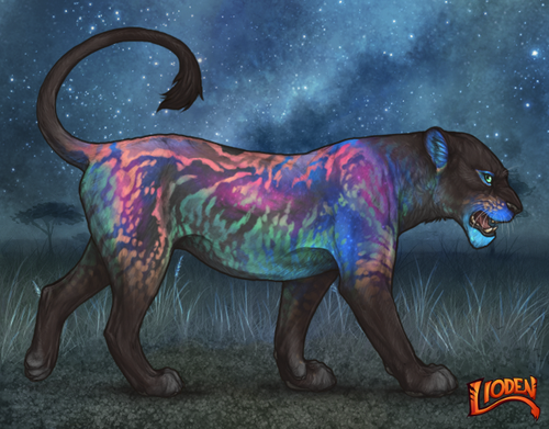 lioden wardrobe 2025 11 29T163631.661.png