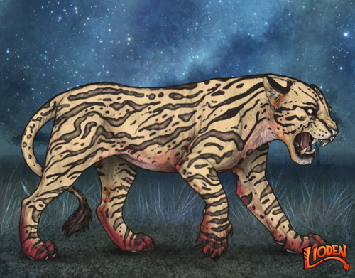 lioden wardrobe 2025 11 29T162656.934.png