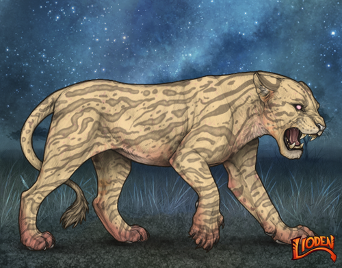 lioden wardrobe 2025 11 29T162653.359.png