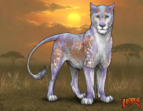 lioden wardrobe 2025 11 28T214257.068.png