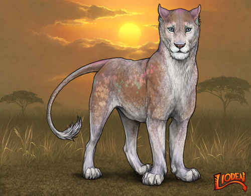 lioden wardrobe 2025 11 28T214254.557.png