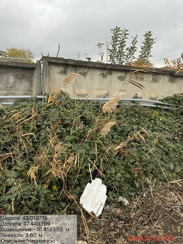 photo 4 2025 11 29 16 00 17.jpg