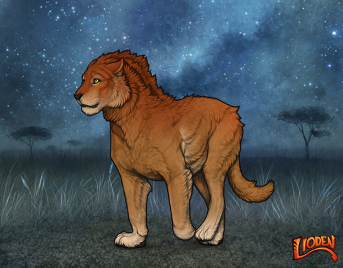 lion 794256004896.png