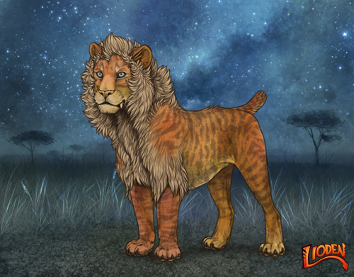 lion 794254970129.png