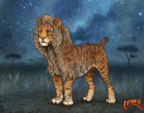 lion 794255257585.png