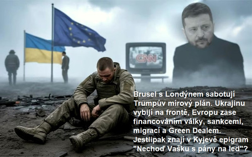 bitevni pole.jpg