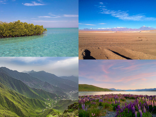 ' Glorified is The  All-Mighty Creator '.jpg