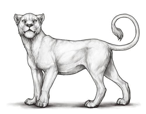 72af260193e3b2f74795af0116601872 (1).png