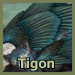 magpie thumbn.png
