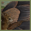 bittern thumbn.png