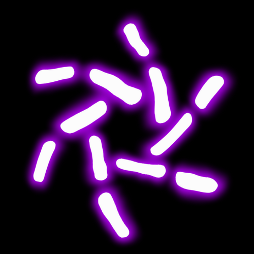 Vortex Logopfp (512 x 512 px) (3).png