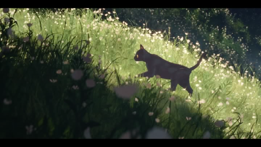 vlcsnap 2025 11 30 20h54m13s213