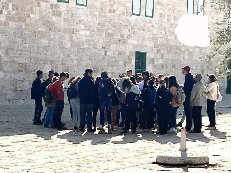 مصادر مقدسية: 56 مستوطنا اقتحموا ساحات المسجد الأقصى بعد ظهر اليوم...