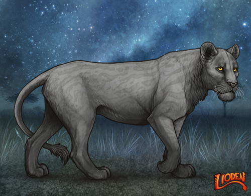 lioden wardrobe 2025 11 30T123011.760.png