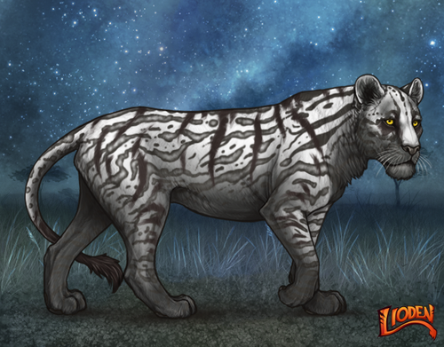 lioden wardrobe 2025 11 30T123014.262.png