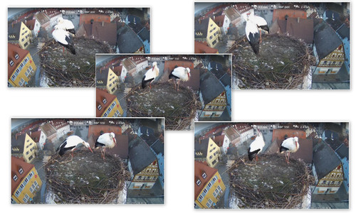 Bilder6.jpg