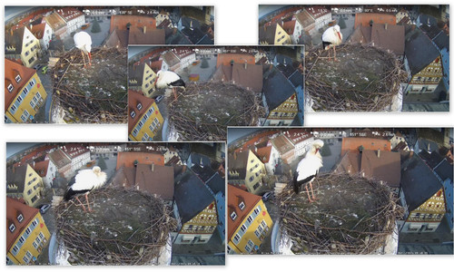 Bilder7.jpg