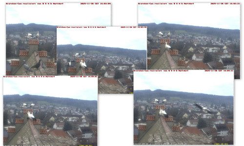 Bilder3.jpg