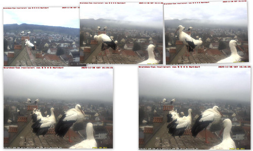 Bilder4.jpg