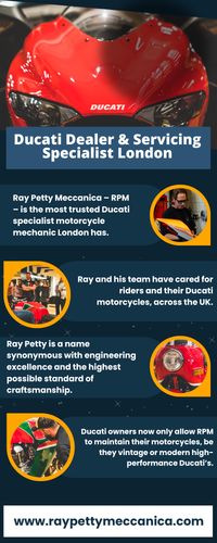 Expert Ducati Servicing & Restoration at Ray Petty Meccanica.png